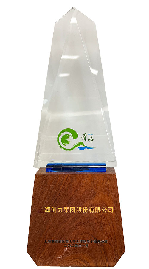 青峰獎(jiǎng)1.jpg 喜報(bào)!上海創(chuàng)力集團(tuán)榮獲2023年度青浦區(qū)百?gòu)?qiáng)優(yōu)秀企業(yè)等三項(xiàng)大獎(jiǎng)(圖3)